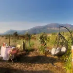 公寓 T3 Baie De Calvi Jardin Panoramique Vue