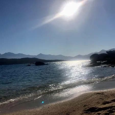 아파트 T3 Baie De Calvi Jardin Panoramique Vue *