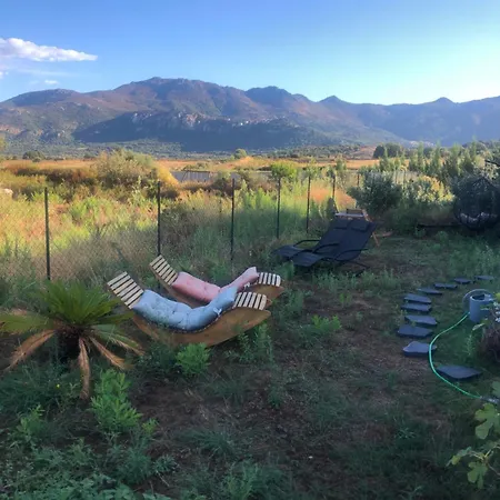 T3 Baie De Calvi Jardin Panoramique Vue