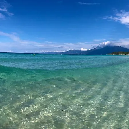 아파트 T3 Baie De Calvi Jardin Panoramique Vue 칼렌자나