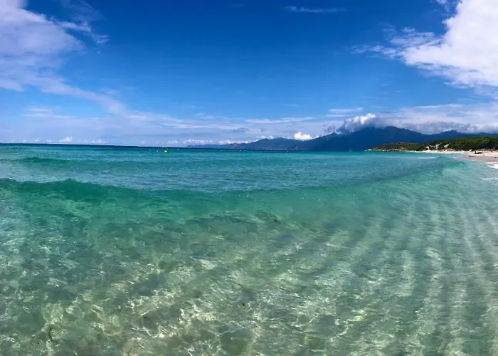 Appartement T3 Baie De Calvi Jardin Panoramique Vue Calenzana