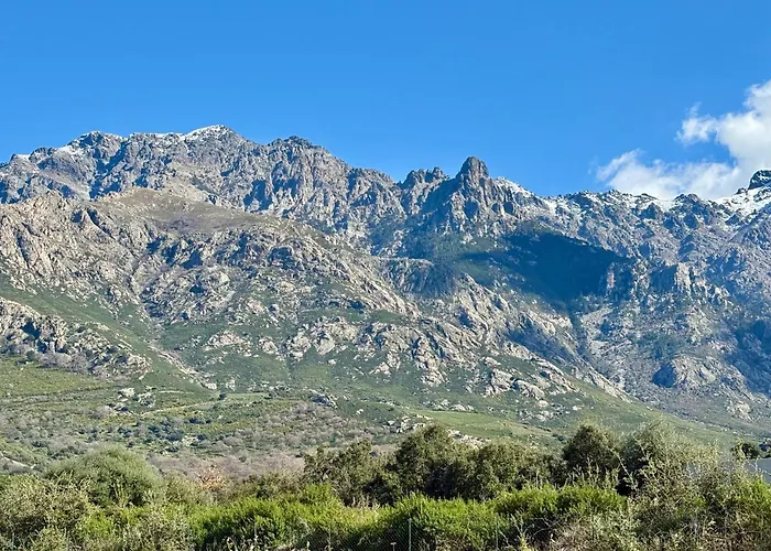 T3 Baie De Calvi Jardin Panoramique Vue Appartement